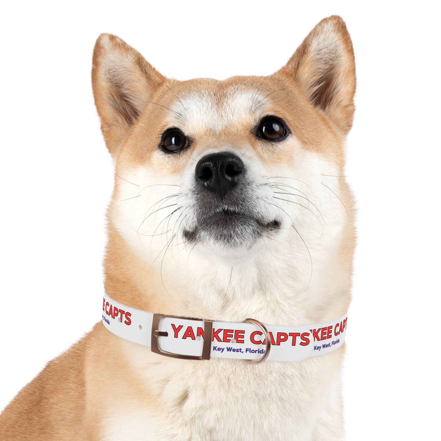 Yankee Capts Dog Collar - The official Yankee Capts merch store