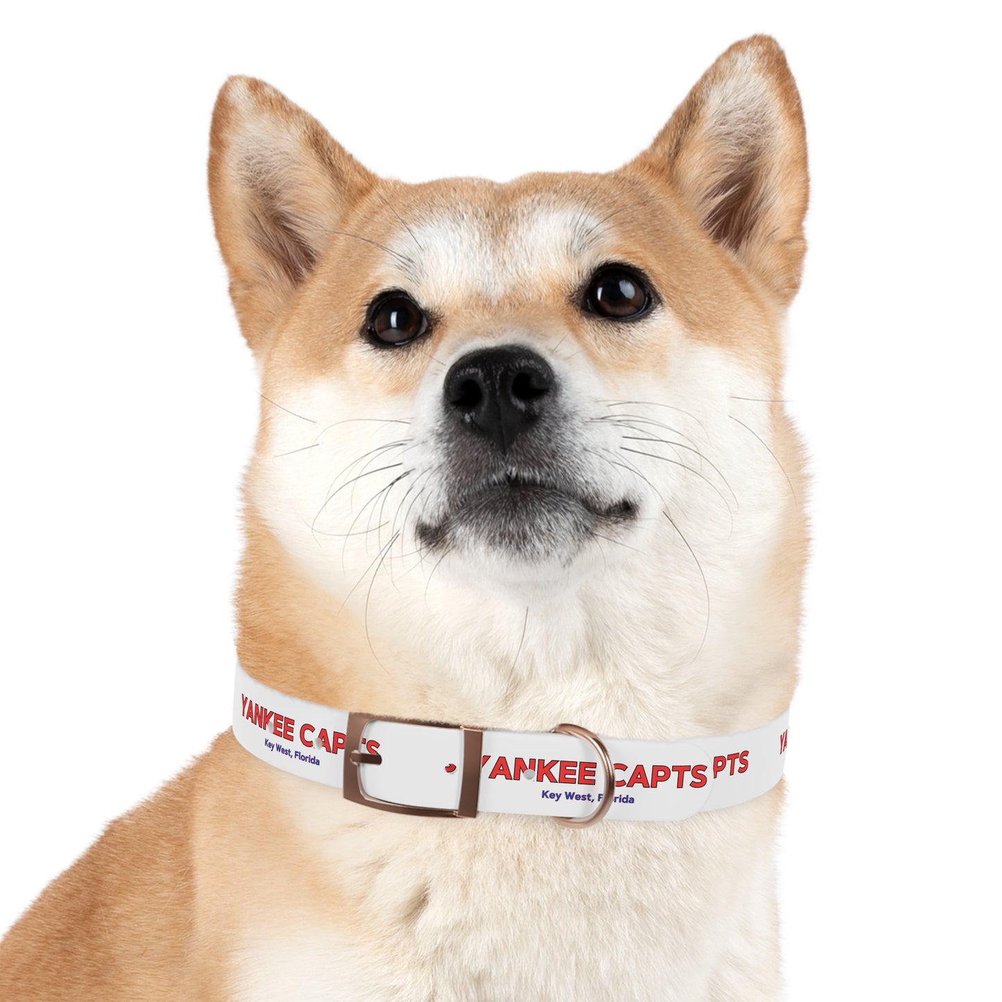 Yankee Capts Dog Collar - The official Yankee Capts merch store