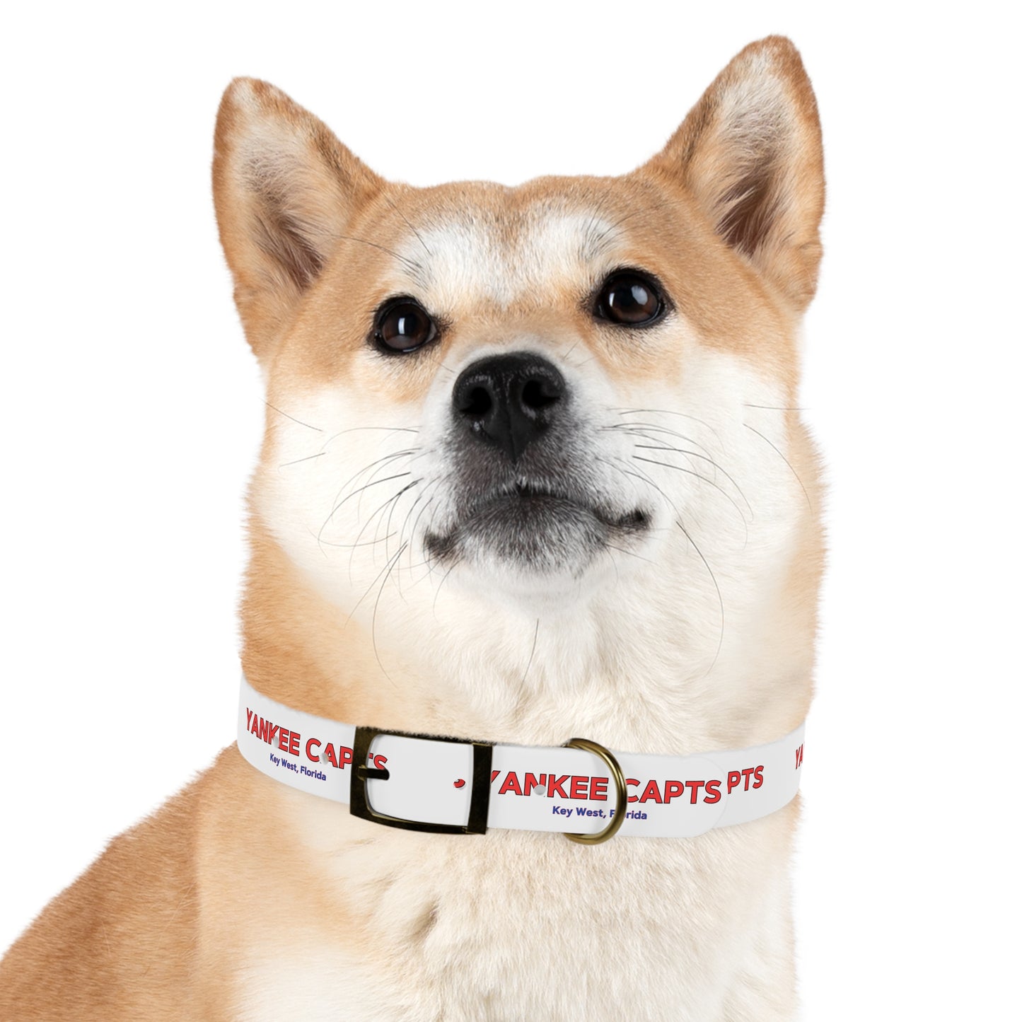 Yankee Capts Dog Collar - The official Yankee Capts merch store