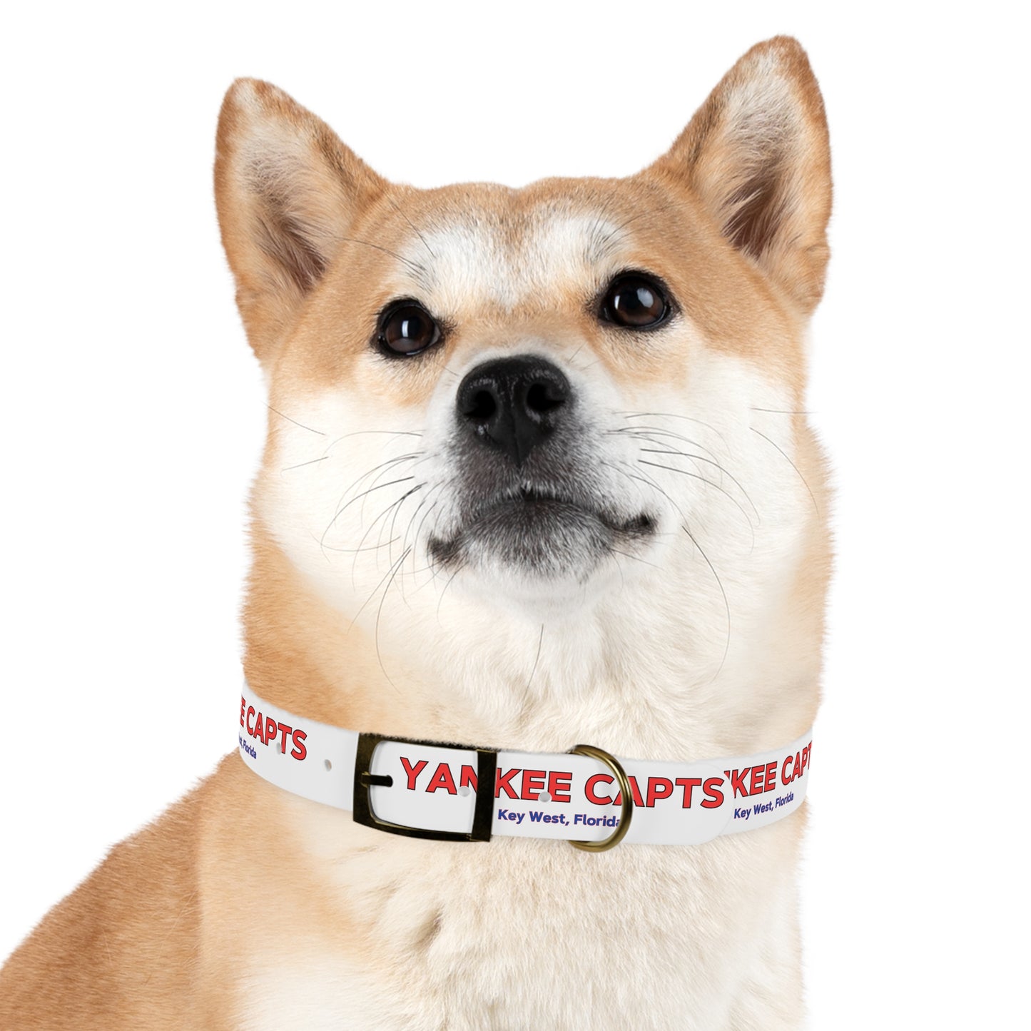 Yankee Capts Dog Collar - The official Yankee Capts merch store