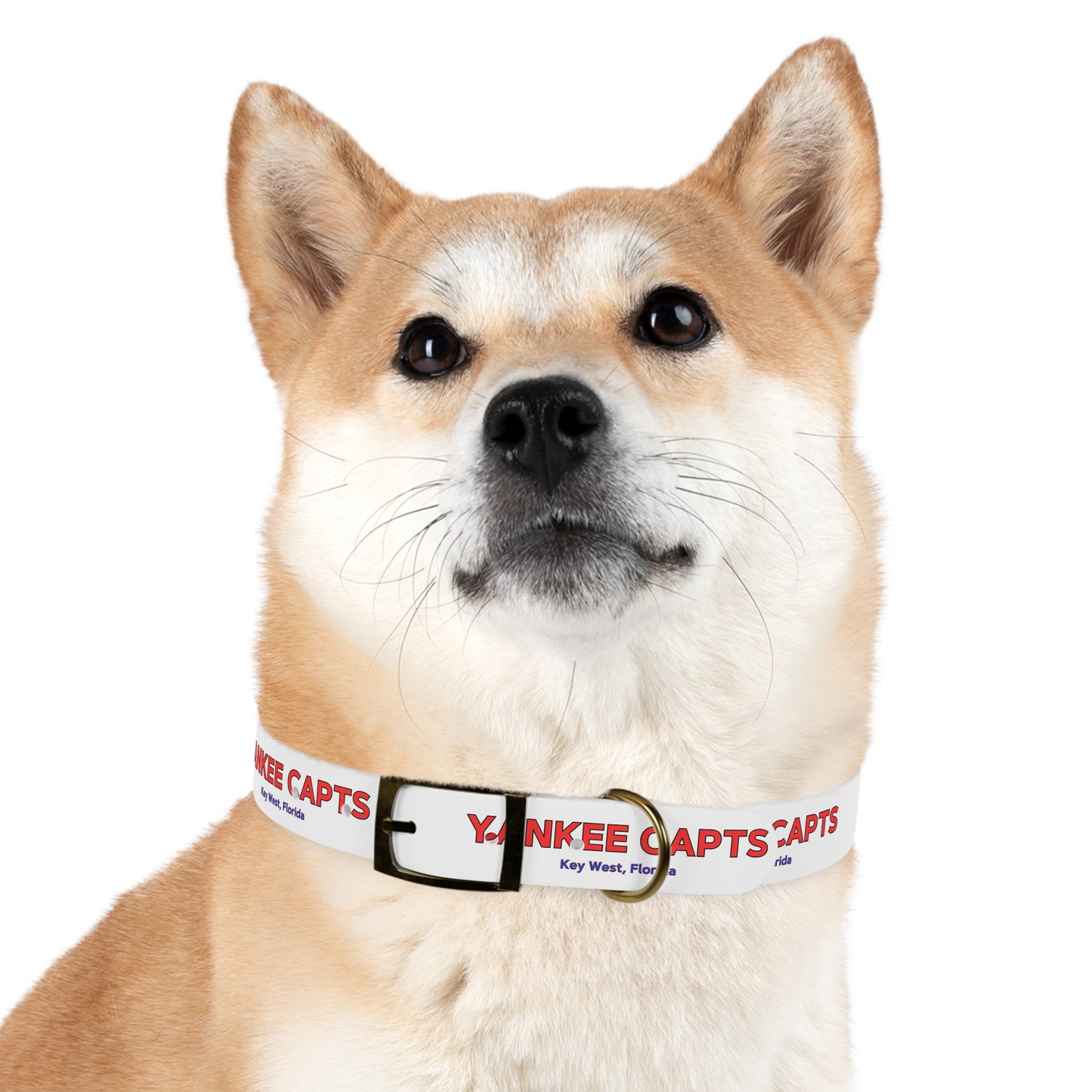Yankee Capts Dog Collar - The official Yankee Capts merch store