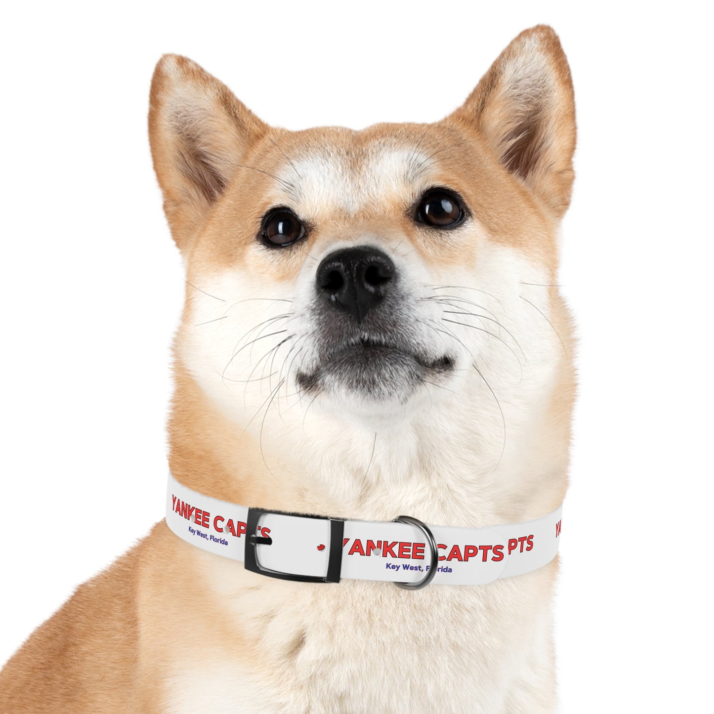 Yankee Capts Dog Collar - The official Yankee Capts merch store